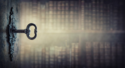 银叶皇后万年青怎样养（详解万年青栽培技术）